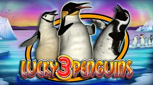 Lucky 3 Penguins - Spin City - Congo